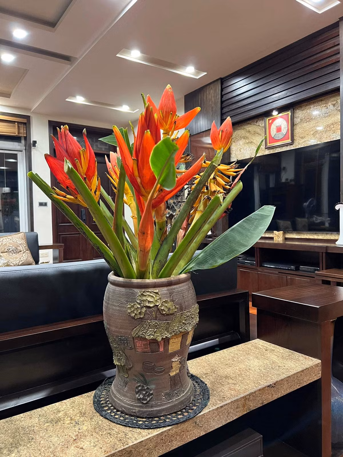 Không chỉ có màu đỏ tươi đẹp mắt, hoa chuối rừng còn có thể chơi được cả tháng. Ảnh: FB Nguyễn Bích Thảo