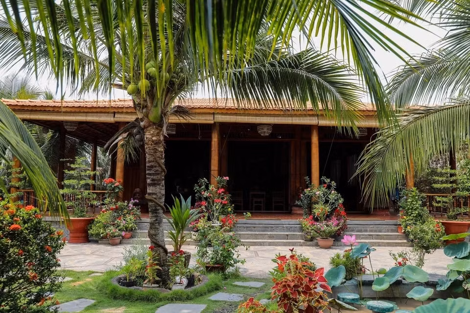 Do gỗ dừa khá đặc biệt, gồm nhiều thớ đan kết vào nhau và tạo thành lớp, chỉ khi cây dừa đạt độ từ 30 tuổi trở lên mới có thể dùng được. Riêng làm cột thì dừa phải có tuổi từ 60 - 70 mới đủ độ cứng và bền. Ảnh: Dân trí