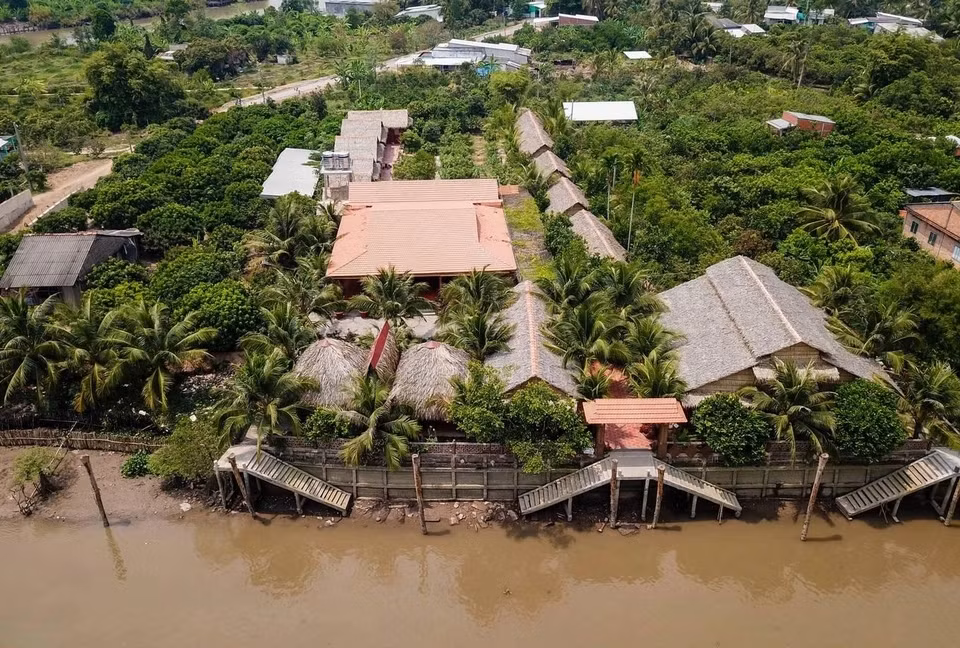 Ngam “biet phu” lam tu 4.000 cay dua cua lao nong mien Tay