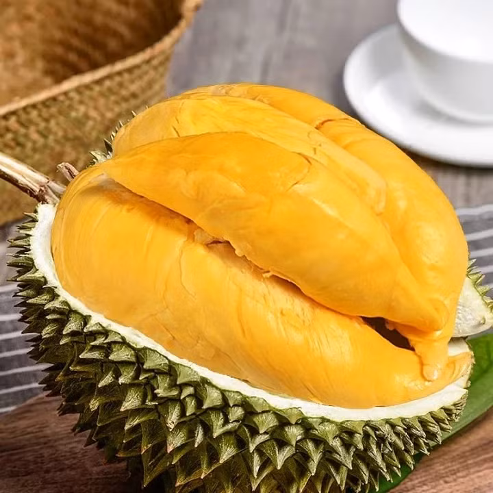 Theo đó, giá bán lẻ tại các vựa dao động từ 150.000 - 180.000 đồng/kg đối với sầu riêng loại A. Còn tại các cửa hàng cao cấp bán sầu riêng đạt chuẩn VietGAP hoặc sầu riêng trồng theo hướng tự nhiên, giá dao động mức 250.000 - 300.000 đồng/kg. Ảnh: Sauriengoi