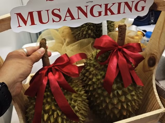 Theo thông tin trên Báo Người lao động, tại TP HCM, sầu riêng Musang King xuất hiện ngày càng nhiều và giá liên tục giảm. Ảnh: Người lao động