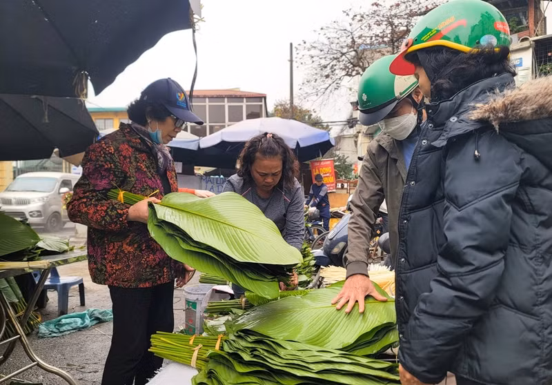 Càng sát Tết Nguyên đán, càng đông người đến chợ chọn mua lá dong to, đẹp, xanh mướt để gói bánh chưng. Ảnh: Tiền phong