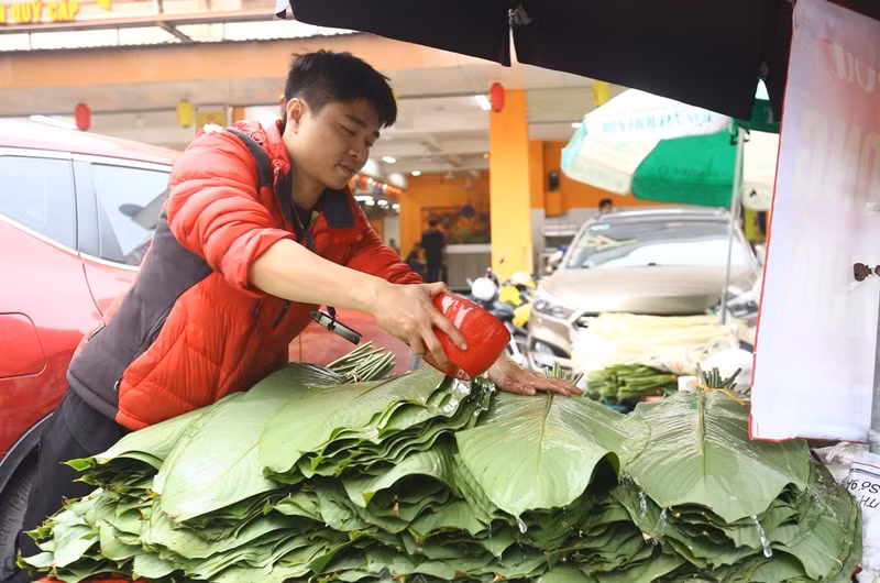 Để lá không bị khô, người bán thường xuyên tưới nước. Ảnh: Tiền phong