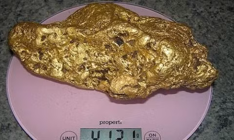 Tại Australia, hồi tháng 8/2016, người ta phát hiện một mỏ vàng nặng đến 4kg, sâu 0,3m ở dưới lòng đất. Ảnh: Mirror
