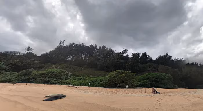 Bất động sản của Zuckerberg ở Hawaii có giá trị ước tính hơn 41 triệu USD, nhưng Zuckerberg đã trả nhiều tiền hơn để mua và xây dựng trên mảnh đất đó. Ảnh: BI