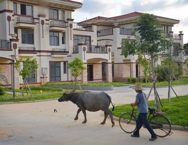 Mỗi căn biệt thự đều có sân để chơi thể thao và thậm chí còn có cả sân khấu cho các sự kiện khác nhau. Việc xây dựng đã được hoàn thành vào năm 2016.