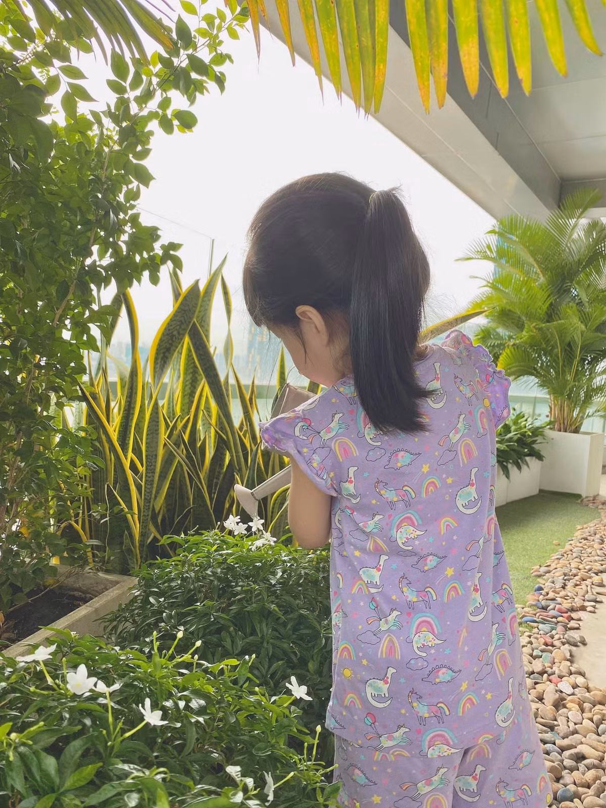 Khu vực ban công trồng nhiều hoa và cây cảnh.