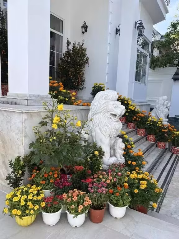 Hà Tăng thường trưng bày đủ loại hoa và cây cảnh trước cửa ra vào nhà.