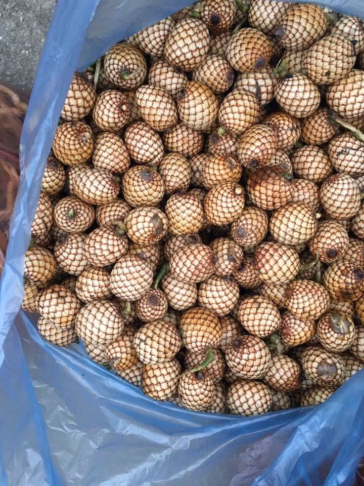 Trong khi đó, trái mây rừng khô giá lên tới 250.000 đồng/kg. Ảnh: Facebook