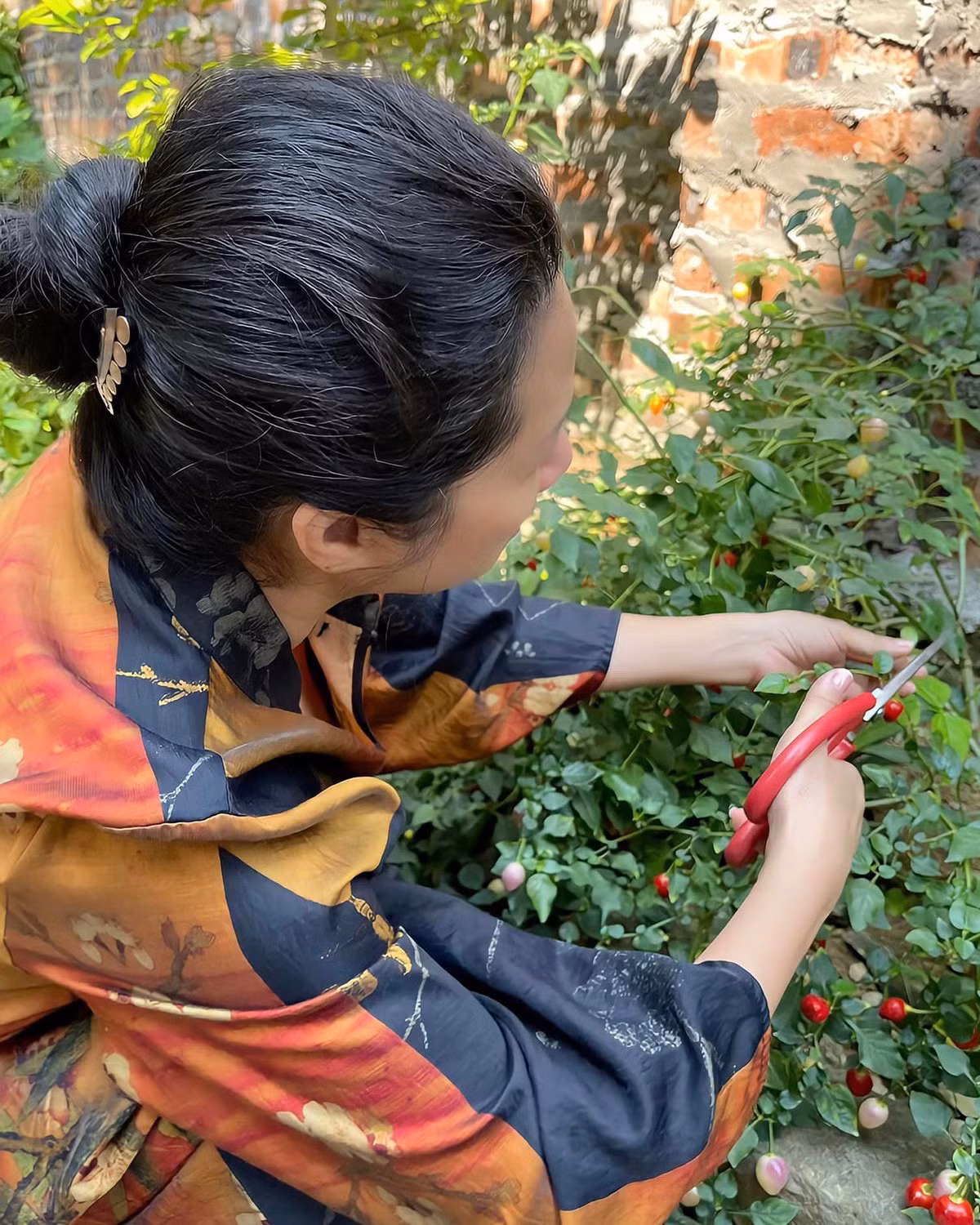 Tại đây, nghệ sĩ Thanh Thanh Hiền trồng rất nhiều cây ăn trái và hoa tươi. Ảnh: FB Thanh Thanh Hiền