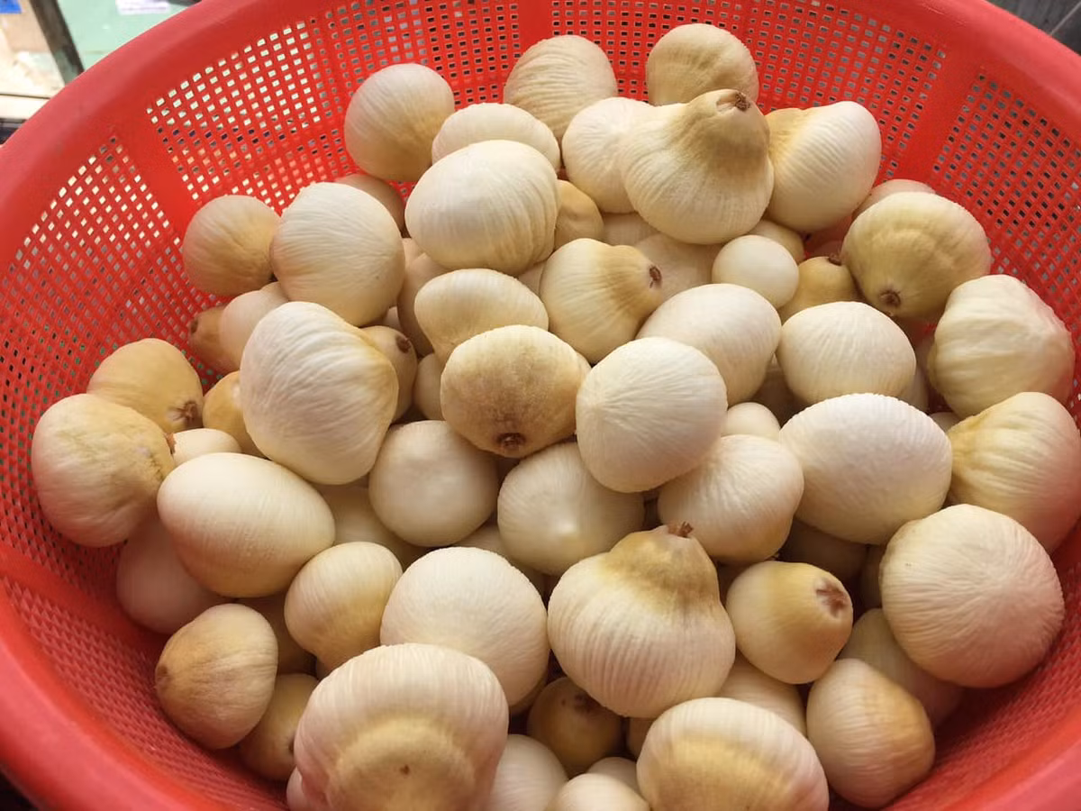 Từ chợ mạng, sàn thương mại điện tử đến siêu thị, mộng dừa được rao bán từ 130.000 - 300.000 đồng/kg. Ảnh: Facebook