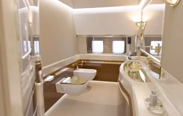 Phòng tắm trên máy bay có bệ toilet mạ vàng. Ảnh: TheSun