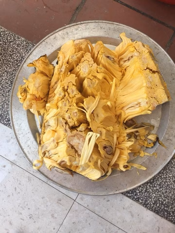 Đây là mít Malaysia trái dài, múi có màu vàng ươm, dài khoảng 15-20cm, phần xơ mít ăn cũng ngọt. Ảnh: Dân Việt