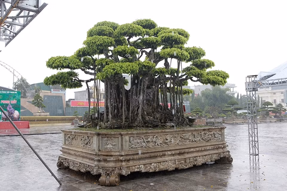 Theo vị doanh nhân này, trong đợt triển lãm có một người khách người Nhật Bản có định giá tác phẩm này khoảng 20 triệu USD (hiện nay tương đương với gần 490 tỷ đồng) nhưng ông không có ý định bán. Ảnh: Dân trí
