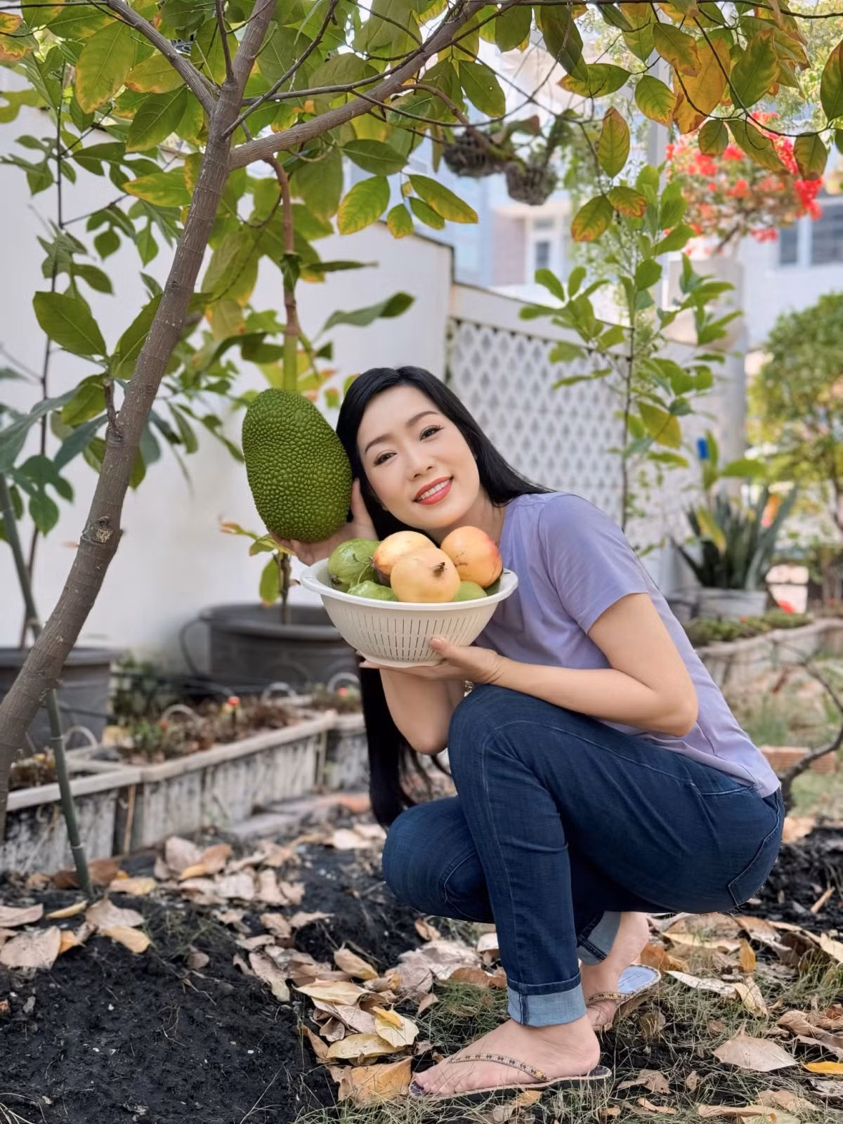 Khu vườn nhà Á hậu Trịnh Kim Chi có nhiều loại cây ăn trái như mít, ổi, sa kê, măng cụt... Ảnh: FBNV