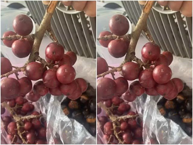 Trên chợ mạng, quả mác khuối có giá khoảng 40.000 đồng/kg nhưng khách muốn mua phải đặt trước mới có. Ảnh: Facebook