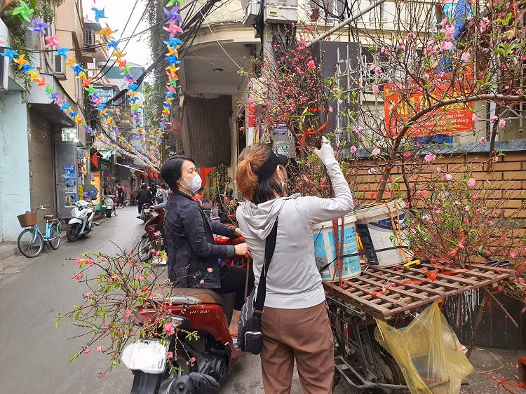 Vài ngày trước Tết Nguyên đán Giáp Thìn 2024, trên các tuyến phố, chợ dân sinh hay chợ online tại Hà Nội tràn ngập hoa đào phục vụ nhu cầu của người dân. Ảnh: Người đưa tin