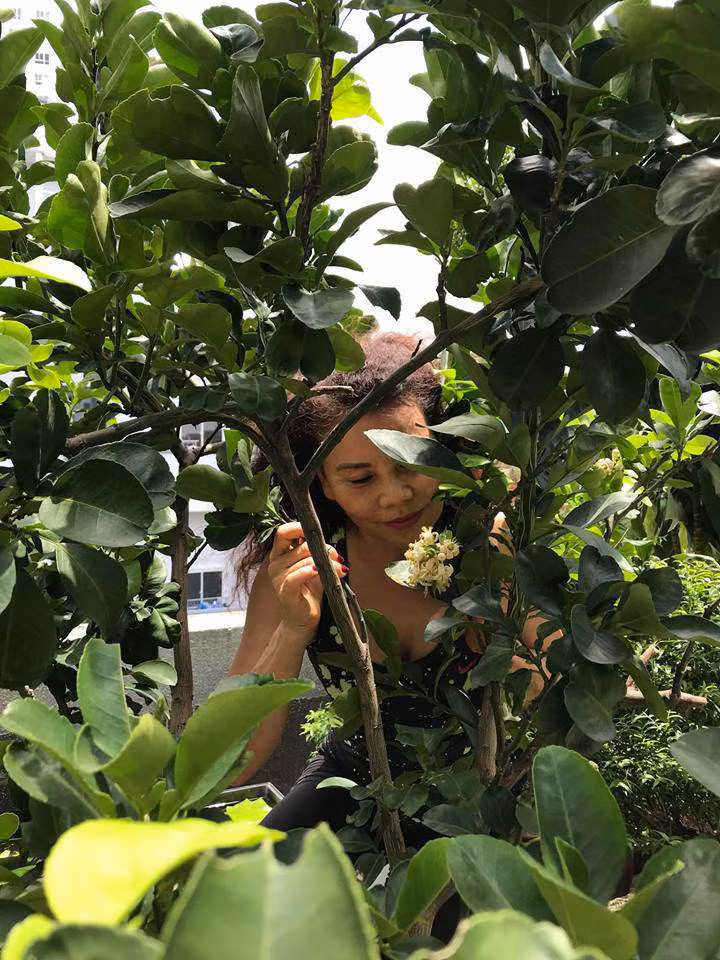 Trước kia, bà Ngọc Hương từng nhiều lần chia sẻ cảnh làm vườn trong căn biệt thự rộng rãi. Ảnh: FB Ngoc Hương