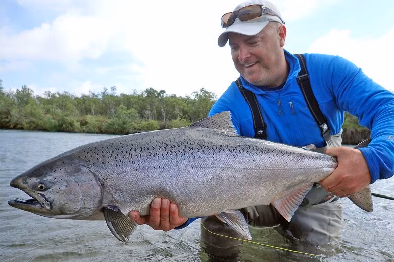 Cá hồi Chinook nguồn gốc Bắc Thái Bình Dương, sông Châu Á. Cá hồi Chinook được đánh giá cao vì kích thước lớn, vị đậm đà và chắc thịt. Ảnh: Getty