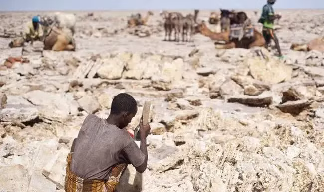 Nghề khai thác muối ở Ethiopia được ví như "dưới địa ngục" bởi môi trường làm việc trên sa mạc với nền nhiệt độ rất cao, có thể lên đến hơn 50 độ C.