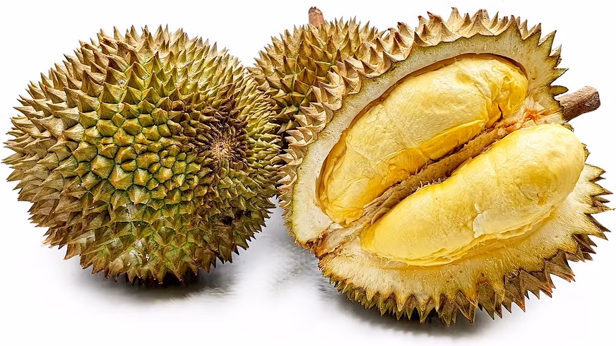 Sầu riêng Kanyao đắt đỏ như vậy không chỉ bởi thời gian và sức lao động của người nông dân, mà còn cả các chi phí khác. Trong đó, riêng chi phí mua nước về tưới cây mỗi năm đã tốn khoảng 2.200 USD (hơn 50 triệu đồng). Ảnh: Stratetimes