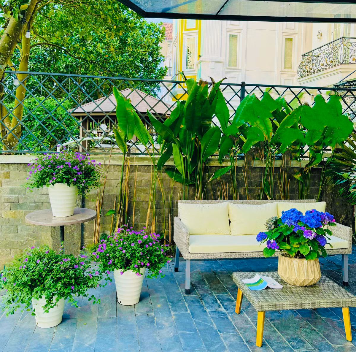 Ngoài cẩm tú cầu, nữ diễn viên còn rất biết cách "lột xác" cho khu vườn bằng cách trồng thêm nhiều loại hoa khách để không gian trở nên lạ mắt.