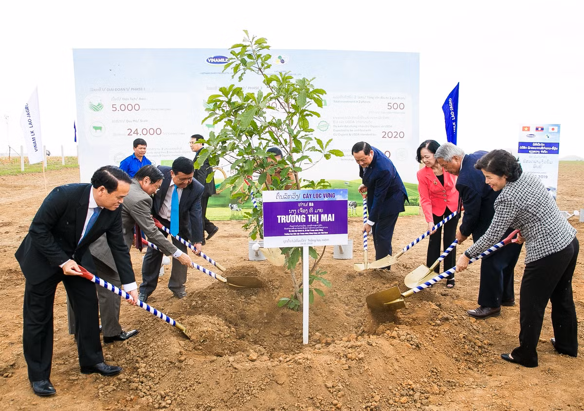 Dau tu 120 trieu USD - Vinamilk hop tac xay dung to hop “resort” bo sua Organic tai Lao-Hinh-5