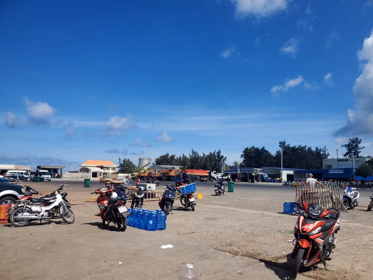 Binh Thuan: Tam ngung van chuyen gia suc ra dao Phu Quy
