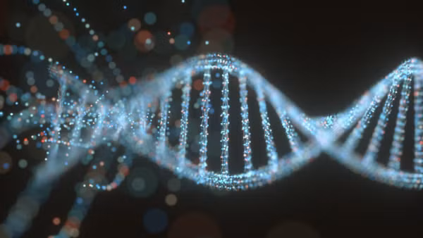 Chuyên gia cho biết, purin đóng vai trò đặc biệt quan trọng với DNA, RNA của tế bào. Đây cũng là thành phần không thể thiếu trong nhiều phân tử sinh học khác như NAD, GTP, ATP, Coenzyme A, Cyclic AMP.