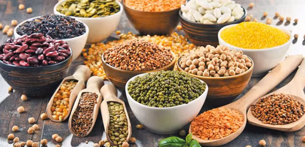 Đáng lưu ý, đây là thực phẩm không có hạn sử dụng. Để đảm bảo sức khỏe, bạn nên phơi khô đậu trước khi cất trong hộp kín. Nếu hơi nước tồn đọng, đậu rất dễ biến chất, thu hút nấm mốc phát triển.