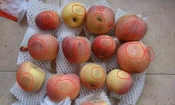 Hai vo chong cung mac ung thu gan vi thu ngoai cho ban day
