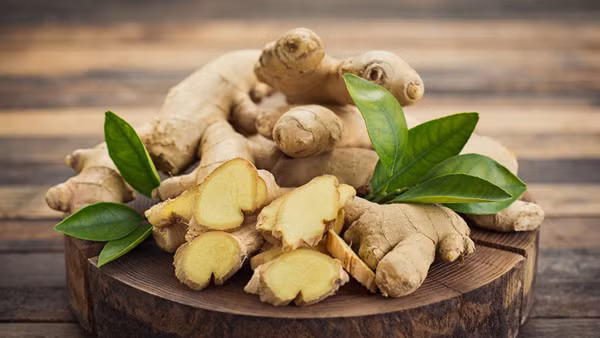 Thời điểm ăn gừng. Trung y chỉ ra rằng, bản chất cơ thể người cũng là mối đồng nhất, âm dương hài hòa. Do vậy, thời điểm ăn gừng rất quan trọng. Ban ngày được xem là thời điểm khí dương cực vượng, thích hợp cho các vận động. Sử dụng thực phẩm có tính ấm như gừng rất tốt.