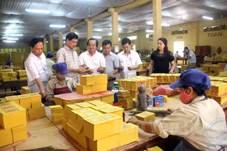 Mot doanh nghiep nong san thu 25 ty dong tu kinh doanh vang ma