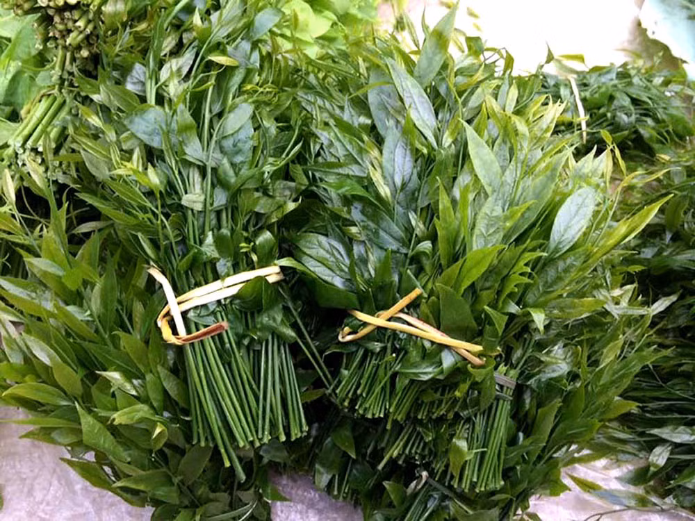 Rau rừng xuống chợ Thủ đô, có loại 180 nghìn/kg vẫn không đủ bán Rau rung xuong cho Thu do, co loai 180 nghin/kg van khong du ban