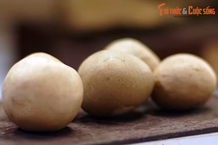 Bi đá tự nhiên được thu thập ở Cù Lao Rùa, Đồng Nai năm 1971, mẫu vật của Bảo tàng Địa chất TP. HCM.