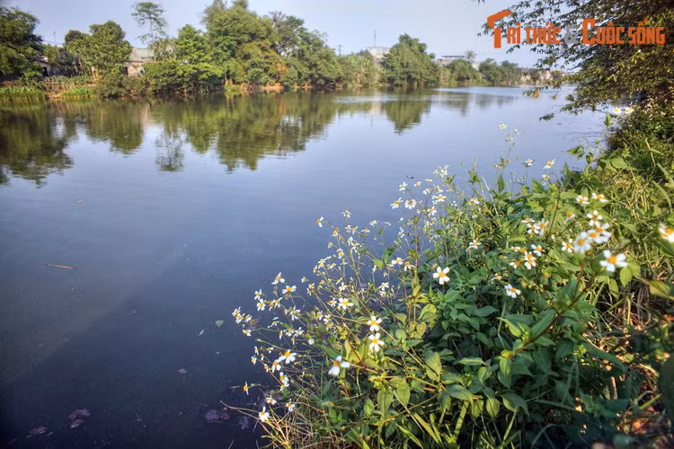 Trải qua sự biến đổi của thởi cuộc, khung cảnh tàu tuyền tấp nập trên sông Kẻ Vạn đã trở thành dĩ vãng.