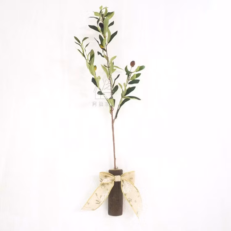 Lá cây ô liu hình bầu dục, mặt lá bóng, xanh thẫm. Ảnh: vi.aliexpress.com.