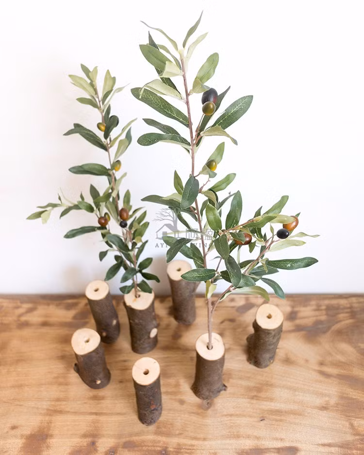 ' Năm nay, bonsai ôliu đang là loại cây hot trên thị trường Tết ở Việt Nam. Ảnh: vi.aliexpress.com.