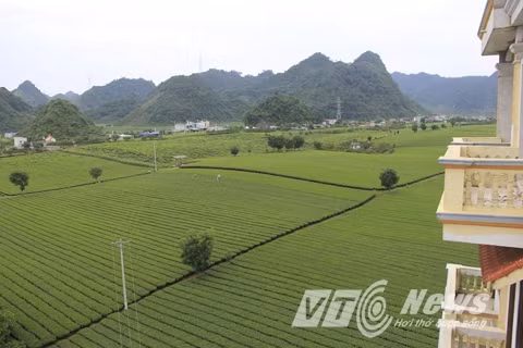 Từ tầng 7 tòa nhà nhìn ra những đồi chè... Ảnh: VTC News.
