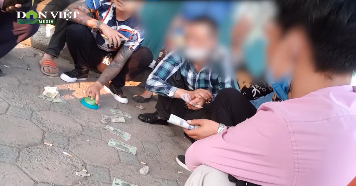 Video: Con bac ngang nhien mo soi tren via he Ha Noi