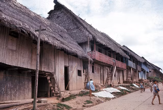 Những mái nhà lợp rơm rạ ở Iquitos. Ảnh VT