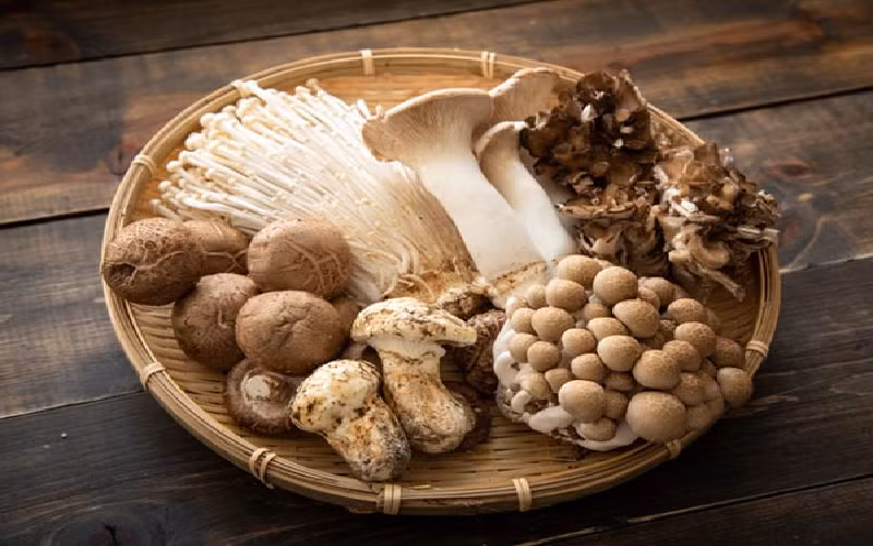 3. Nấm. Nấm rất giàu polysaccharide, có thể thúc đẩy sự kích hoạt các hạch bạch huyết bên cạnh ruột, rất hữu ích cho việc chống ung thư. Ngoài ra, phụ nữ ăn nhiều nấm cũng có thể giảm 60 - 70 % nguy cơ ung thư vú. (Ảnh: ahirao_photo/iStock/Getty Images Plus/Getty Images)