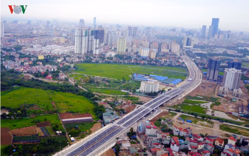 Anh: Bat thuong cay chet kho tren con duong 1.543 ty