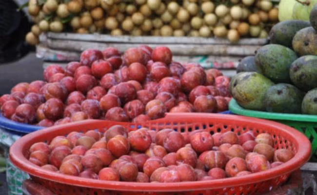 Loại mận này, từ nhiều năm nay được bán với giá 30.000-50.000 đồng/kg tùy loại và cũng được dân buôn gắn mác “đặc sản mận Sapa” hay “mận Lào Cai”.