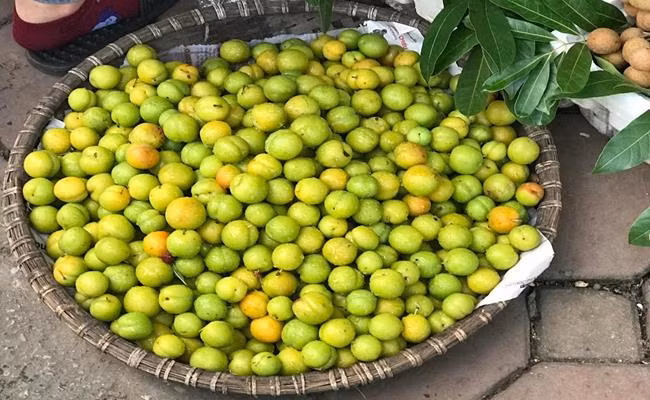 Ngoài mận tím bầm, thị trường còn xuất hiện loại mận cơm vỏ xanh, quả chín vỏ sẽ màu hơi vàng, hạt sẽ tách rời luôn ra nên được rất nhiều người chuộng mua.