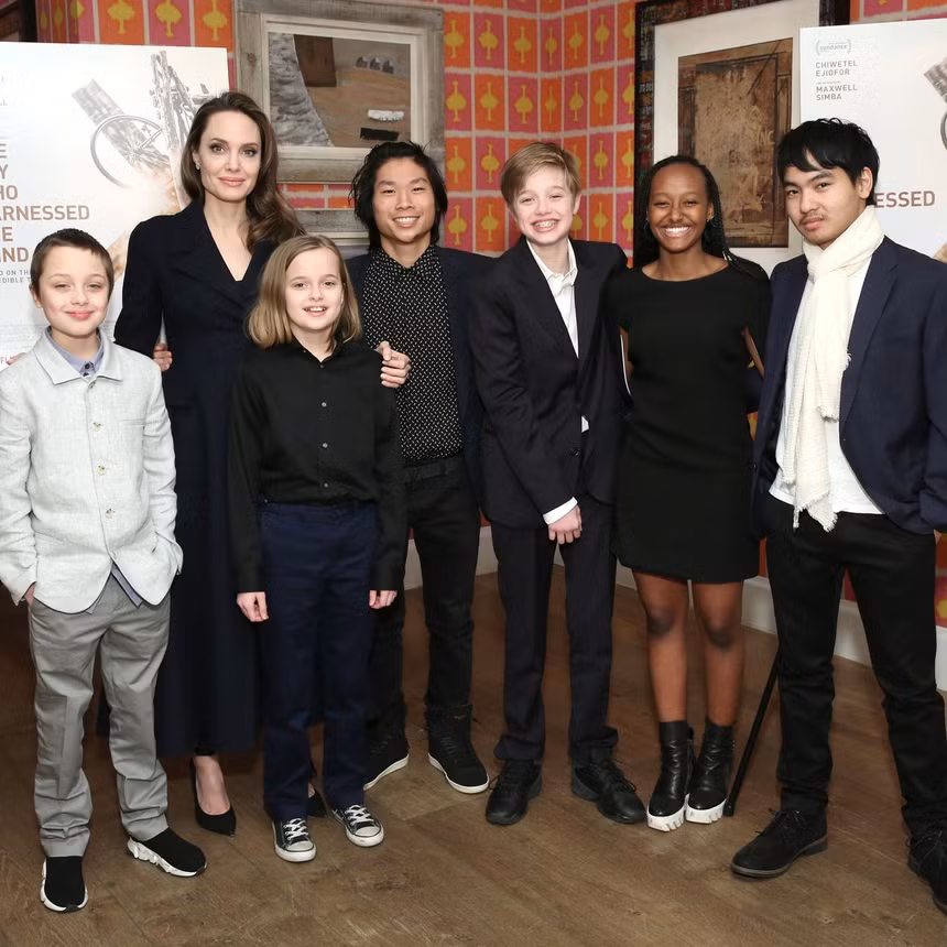 Brad Pitt thang vu kien tranh chap quyen nuoi con voi Angelina Jolie-Hinh-2