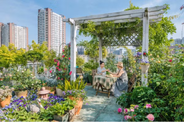 Người phụ nữ 45 tuổi biến mái nhà thành khu vườn ấn tượng - Hình 2 Nguoi phu nu 45 tuoi bien mai nha thanh khu vuon an tuong-Hinh-2