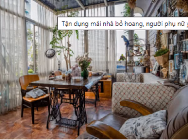 Người phụ nữ 45 tuổi biến mái nhà thành khu vườn ấn tượng - Hình 7 Nguoi phu nu 45 tuoi bien mai nha thanh khu vuon an tuong-Hinh-7