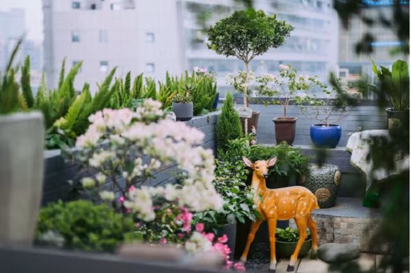 Người phụ nữ 45 tuổi biến mái nhà thành khu vườn ấn tượng - Hình 4 Nguoi phu nu 45 tuoi bien mai nha thanh khu vuon an tuong-Hinh-4