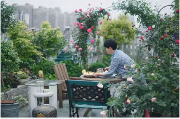 Người phụ nữ 45 tuổi biến mái nhà thành khu vườn ấn tượng - Hình 9 Nguoi phu nu 45 tuoi bien mai nha thanh khu vuon an tuong-Hinh-9